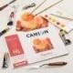 ΜΠΛΟΚ CANSON FIGUERAS OIL 18x24 290gr 10φ CANVAS