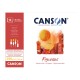ΜΠΛΟΚ CANSON FIGUERAS OIL 30x40 290gr 10φ CANVAS