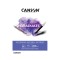 ΜΠΛΟΚ CANSON GRADUATE MIXED MEDIA Α4 200gr 20φ