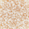 Miyuki Delica 11/0 DB1530 Opaque Bisque White Ceylon